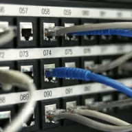Blue network cables plugged into a patch panel